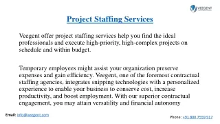 Projects staffing service at Veegent