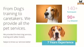 From Dog's training to caretakers, providing you all the pet services