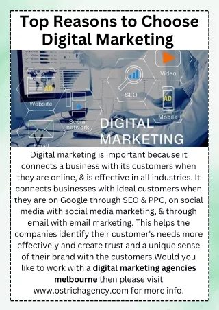 Top Reasons to Choose Digital Marketing