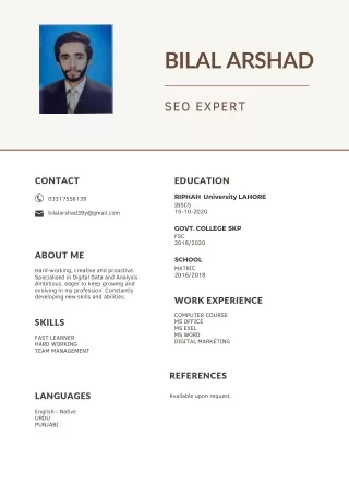Blue Light Blue Color Blocks Flight Attendant CV (1)