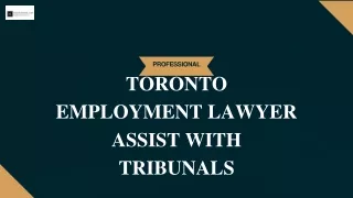 Toronto Employment Lawyer Assist With Tribunals