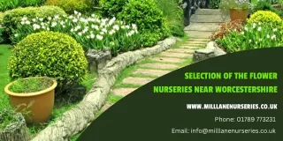Selection of the flower nurseries near Worcestershire