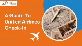 a guide to united airlines check in