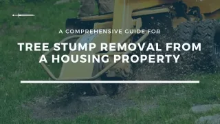 A Comprehensive Guide for Tree Stump Removal from a Housing Property