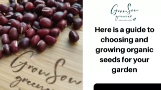 How To Choose And Grow Organic Seeds
