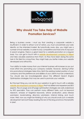 why should you take help of website promotion