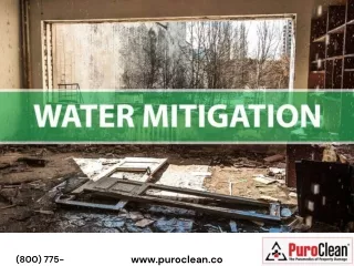 water mitigation bloomington il