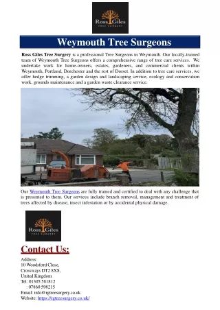 Weymouth Tree Surgeons