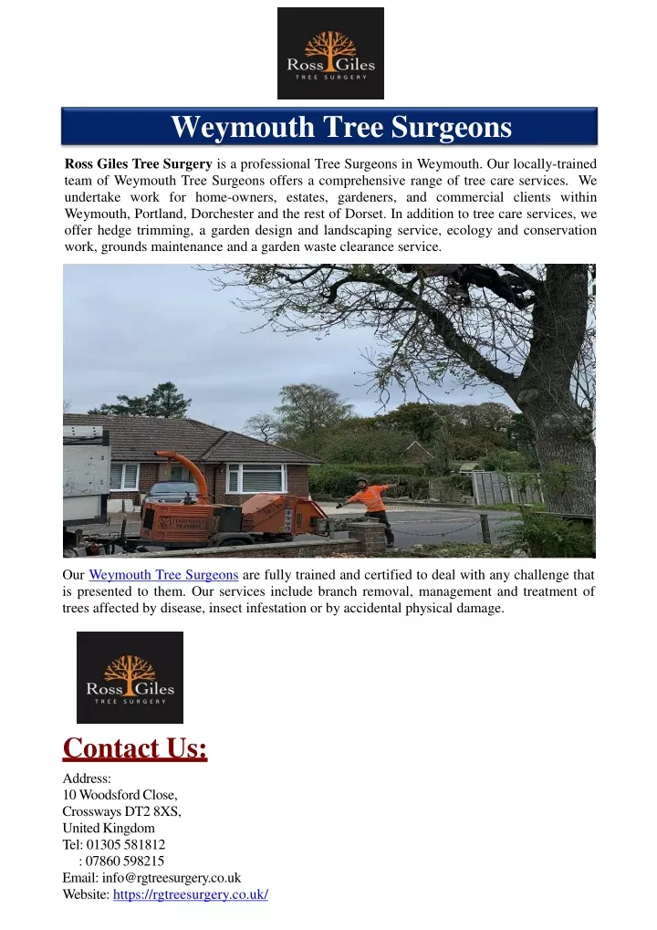 weymouth tree surgeons