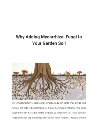 why adding mycorrhizal fungi to your garden soil