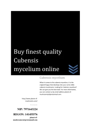 Buy finest quality Cubensis mycelium online