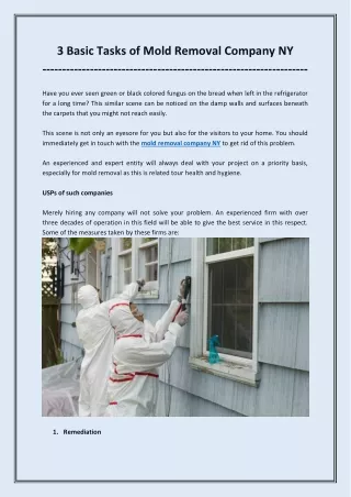 3 Basic tasks of mold removal company NY