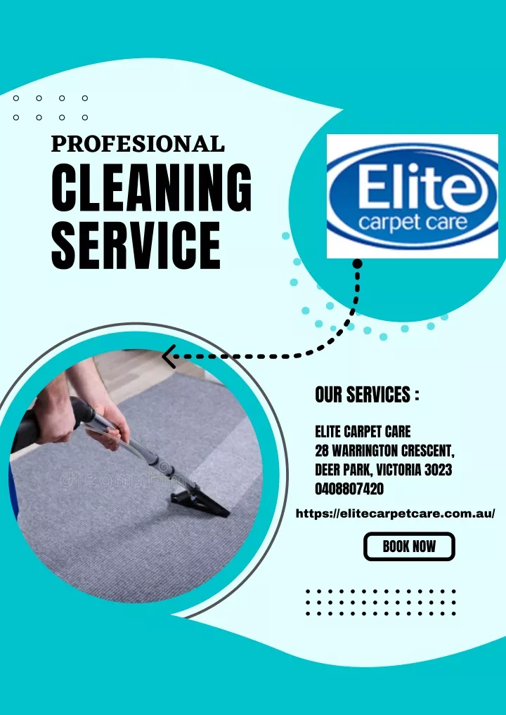 profesional cleaning service