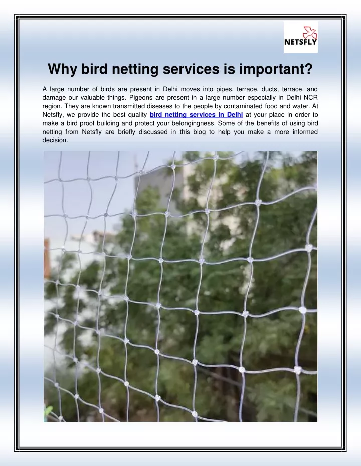 why bird netting services is important