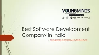 YoungMinds Best Software Development Company in India