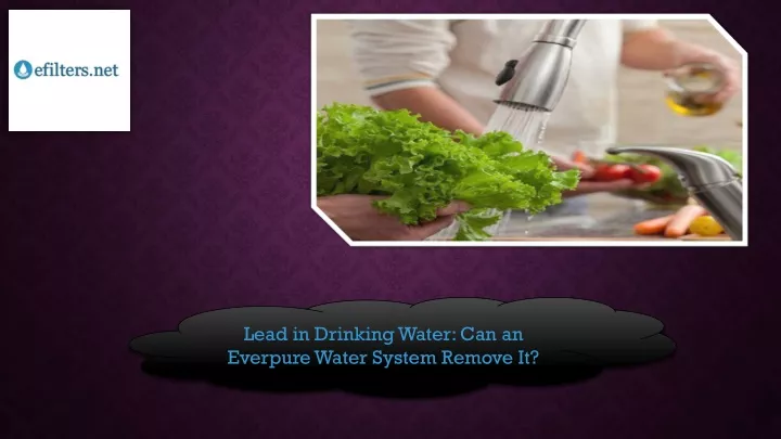 lead in drinking water can an everpurewater