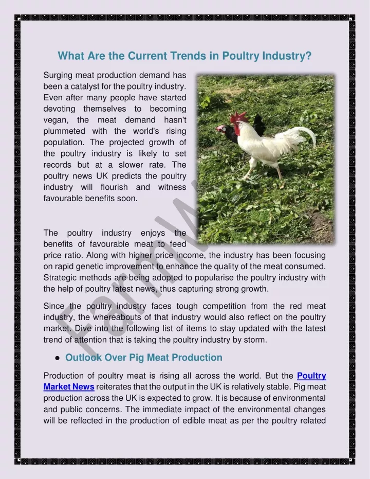 what are the current trends in poultry industry