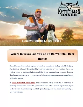 Where In Texas Can You Go To Do Whitetail Deer Hunts