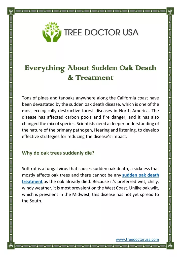 everything about sudden oak death everything