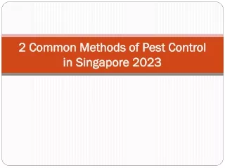 2 common methods of pest control in singapore 2023