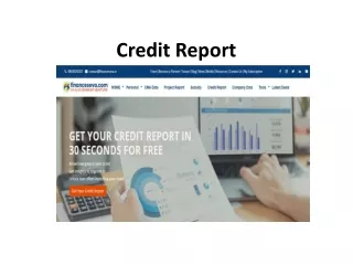 credit report