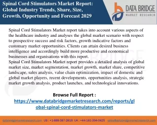 Spinal Cord Stimulators Market