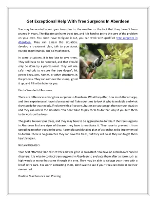 get exceptional help with tree surgeons