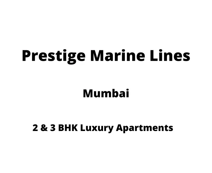 prestige marine lines