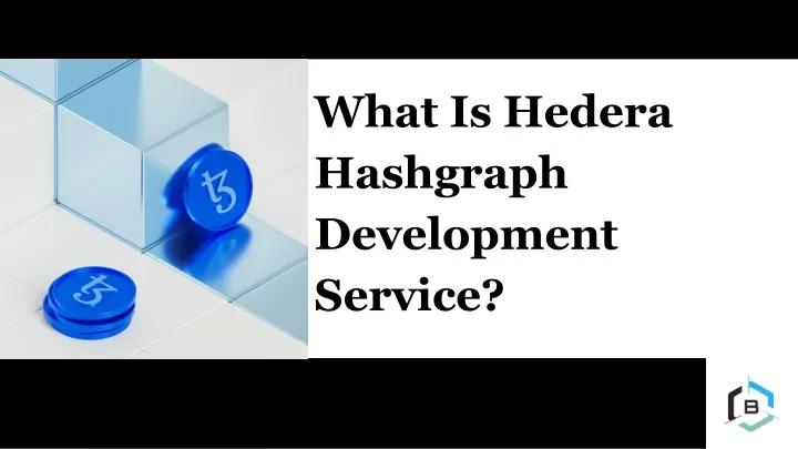 what is hedera hashgraph development service