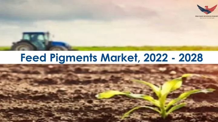 feed pigments market 2022 2028
