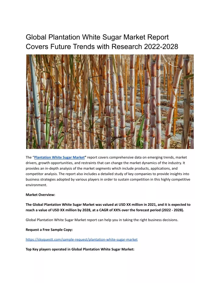 global plantation white sugar market report