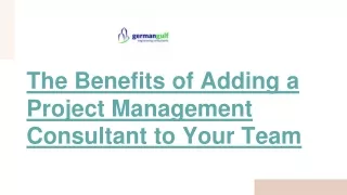 The Benefits of Adding a Project Management Consultant to Your Team