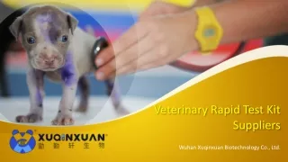Veterinary Rapid Test Kit Suppliers