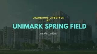 Luxury home in Unimark Springfield Rajarhat at Kolkata