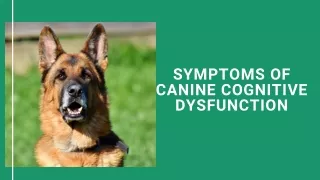 ppt-Symptoms of Canine Cognitive Dysfunction (1)