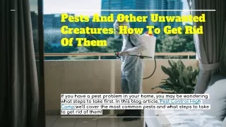 Pest Control High Camp