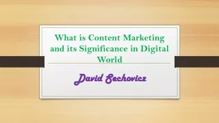 What is Content Marketing and its Significance in Digital World | David Sechovic
