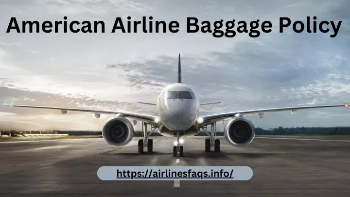 american airline baggage policy