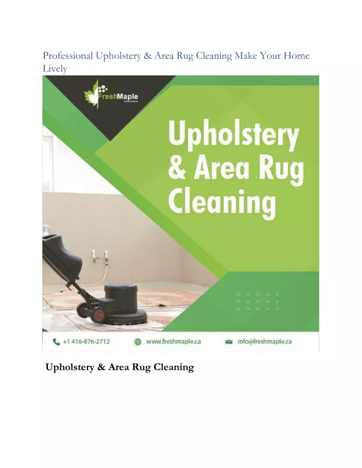 professional upholstery area rug cleaning make