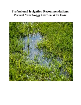 Professional Irrigation Recommendations, Prevent Your Soggy Garden With Ease.