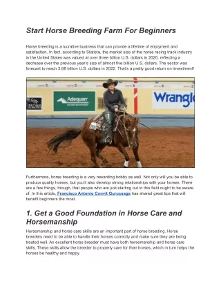 start horse breeding farm for beginners