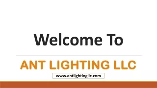 welcome to