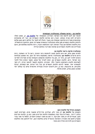 חלונות עץ – מראה נוסטלגי בטכנולוגיה העכשווית