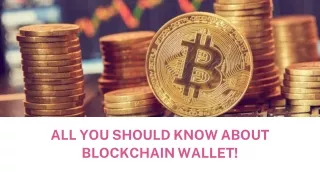 An Overview Of Blockchain Private Key Wallets