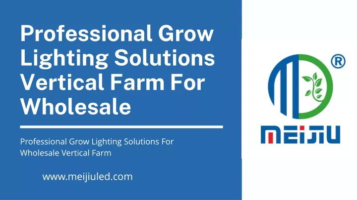 professional grow lighting solutions vertical