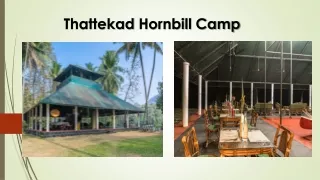 thattekad hornbill camp