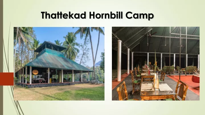 thattekad hornbill camp