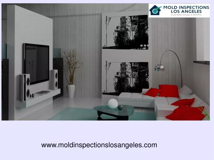 www moldinspectionslosangeles com