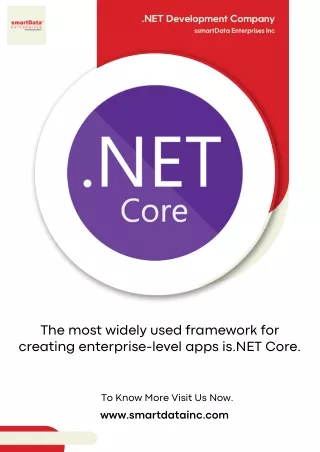 net development company