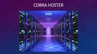 Cobra Hoster offers $1 web hosting to host your website.